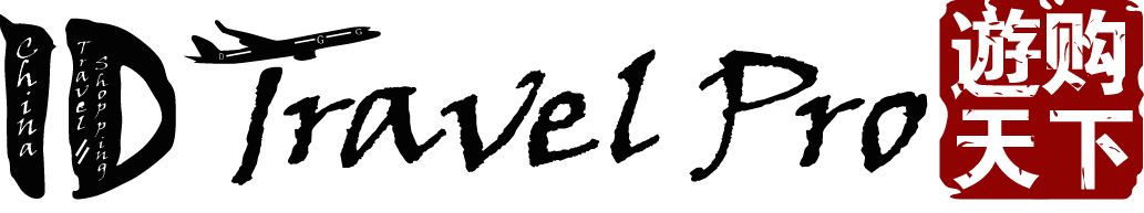 ID Travel Pro