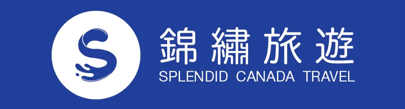 买家标识 11